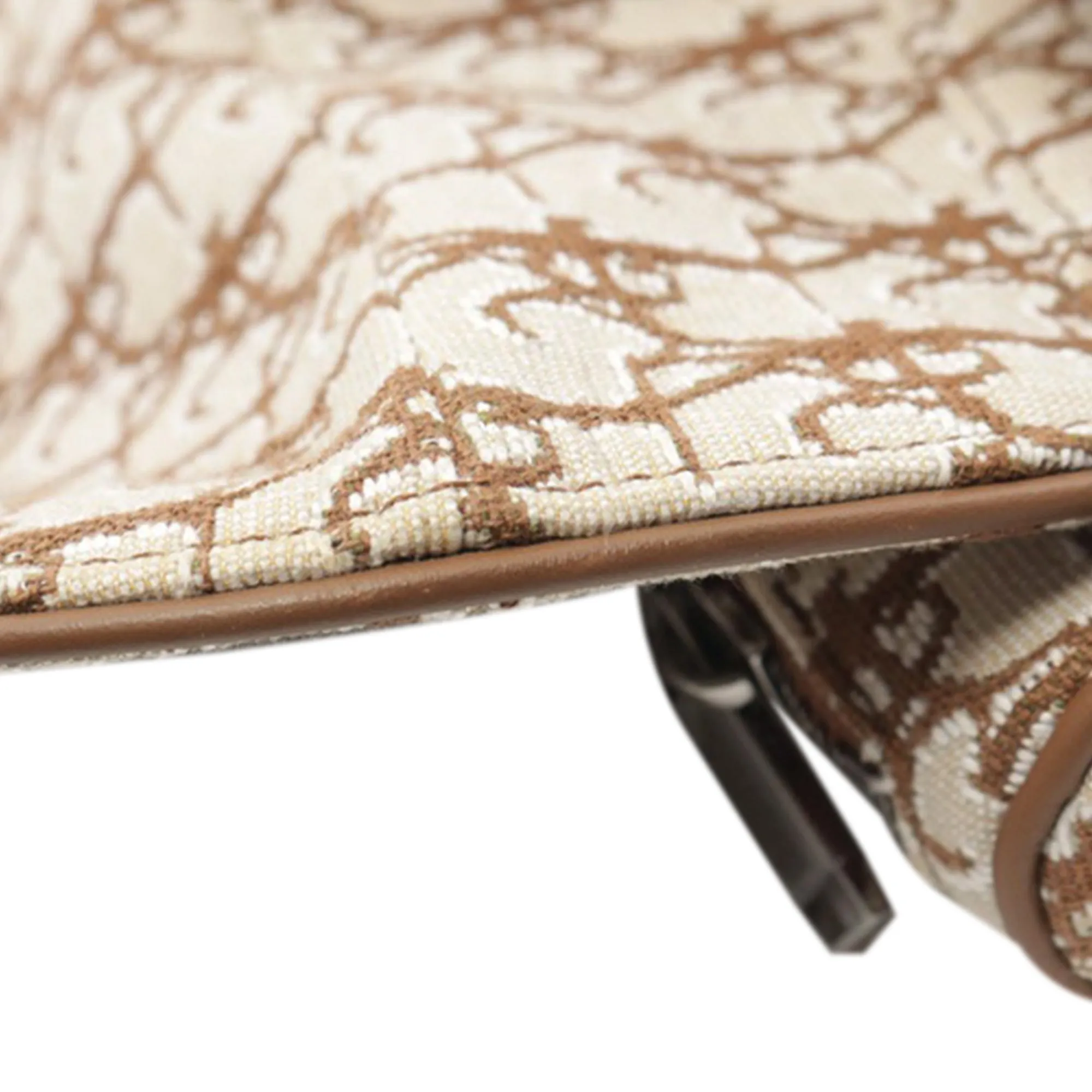 Beige Dior Cactus Jack Canvas Saddle Crossbody