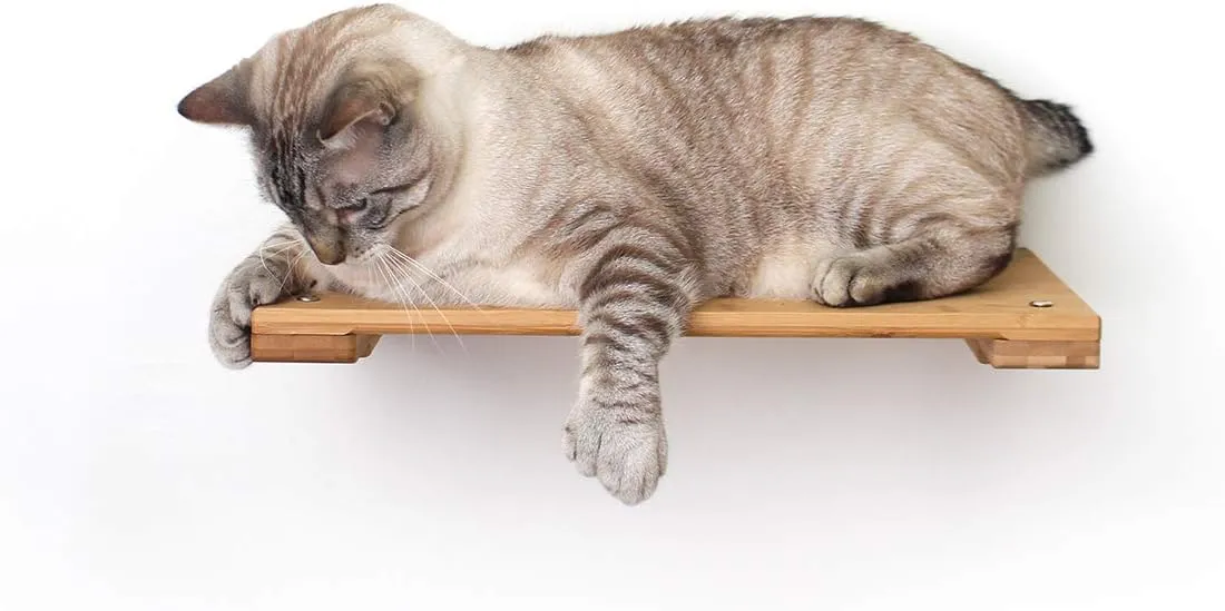 CatastrophiCreations Cat 18in Shelf Handcrafted Elevated Wall English Chestnut Bamboo