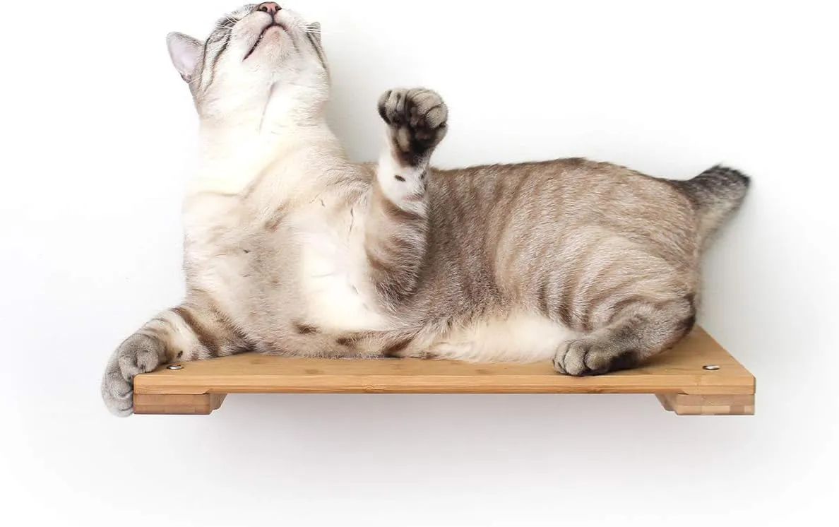 CatastrophiCreations Cat 18in Shelf Handcrafted Elevated Wall English Chestnut Bamboo