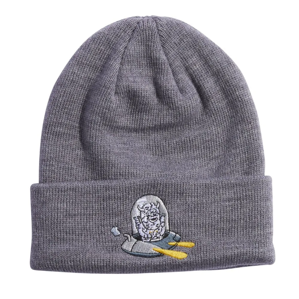 Coal The Crave Kids Beanie